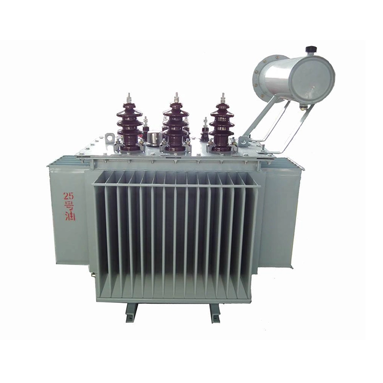 100 Kva 11 Kv 油入 ONAN 変圧器 100 Kva 11 Kv 油入 ONAN 変圧器