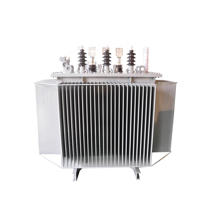22kv 電力変圧器 1000kva 油浸